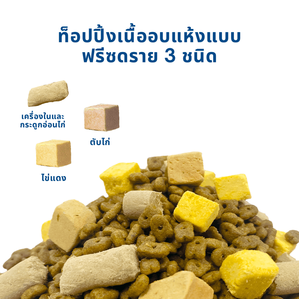 อาหารแมวผสมฟรีซดราย MR.VET สูตร T2 HOLISTIC รสไก่และแซลมอน 1 กก._4